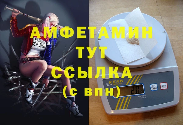 индика Киреевск